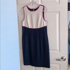 Ann Taylor Sheath Dress